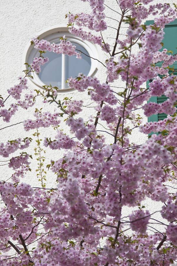 Villa Arborea 아우크스부르크 외부 사진